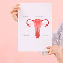 モナリザタッチとの違い